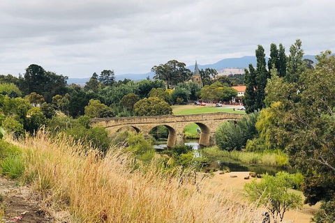 Day Tour In Mt. Field, Mt. Wellington, Bonorong Wildlife Sanctuary And Richmond - Accommodation NT 6