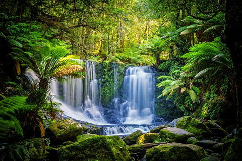 Day Tour In Mt. Field, Mt. Wellington, Bonorong Wildlife Sanctuary And Richmond - Accommodation NT 7