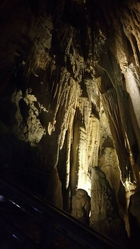 Small-group DayTour From Hobart: Hastings Caves, Huon Valley And Tahune AirWalk - Accommodation NT 5