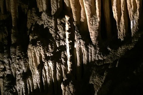 Small-group DayTour From Hobart: Hastings Caves, Huon Valley And Tahune AirWalk - Accommodation NT 1