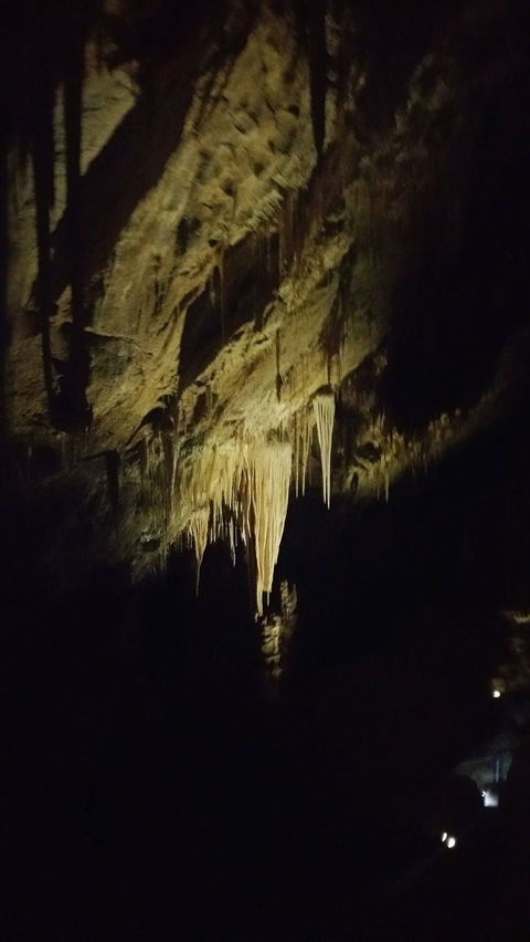 Small-group DayTour From Hobart: Hastings Caves, Huon Valley And Tahune AirWalk - Accommodation NT 7