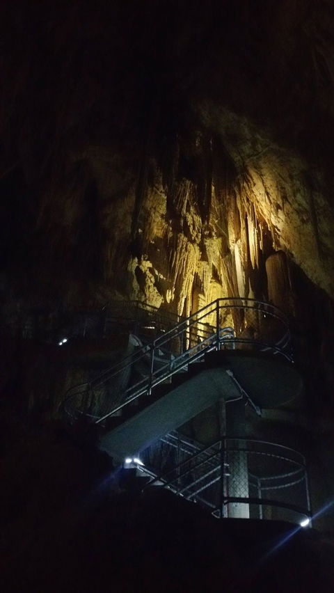 Small-group DayTour From Hobart: Hastings Caves, Huon Valley And Tahune AirWalk - Accommodation NT 4