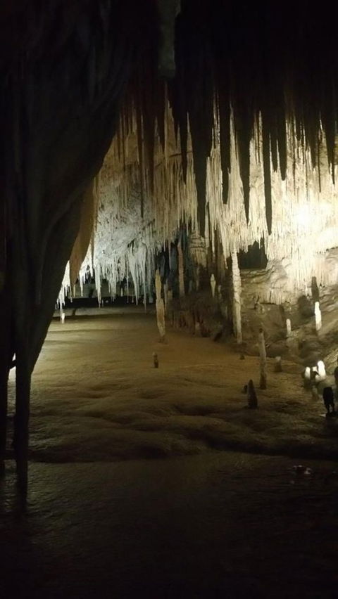 Small-group DayTour From Hobart: Hastings Caves, Huon Valley And Tahune AirWalk - Accommodation NT 8
