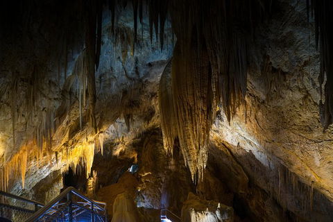 Small-group DayTour From Hobart: Hastings Caves, Huon Valley And Tahune AirWalk - Accommodation NT 19