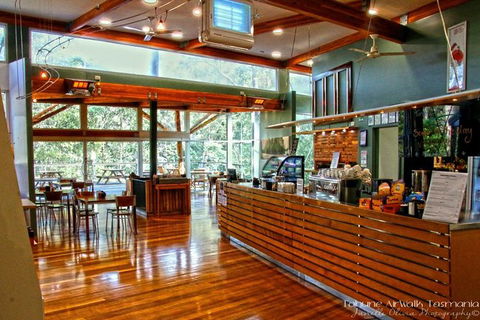 Small-group DayTour From Hobart: Hastings Caves, Huon Valley And Tahune AirWalk - Accommodation NT 15