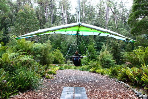 Small-group DayTour From Hobart: Hastings Caves, Huon Valley And Tahune AirWalk - Accommodation NT 10