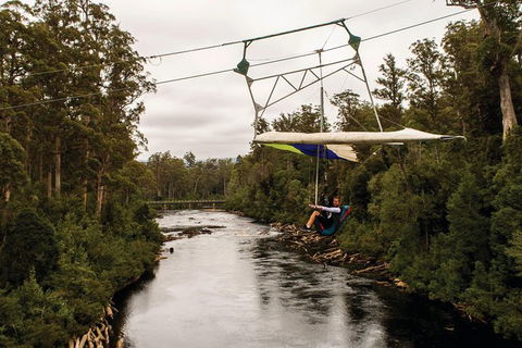 Small-group DayTour From Hobart: Hastings Caves, Huon Valley And Tahune AirWalk - Accommodation NT 14