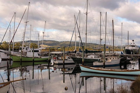Small-group DayTour From Hobart: Hastings Caves, Huon Valley And Tahune AirWalk - Accommodation NT 13
