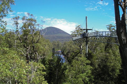 Small-group DayTour From Hobart: Hastings Caves, Huon Valley And Tahune AirWalk - Accommodation NT 9