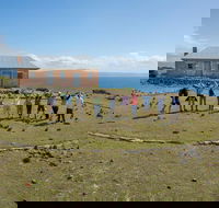 Maria Island Active Day Trip from Hobart - Accommodation NT