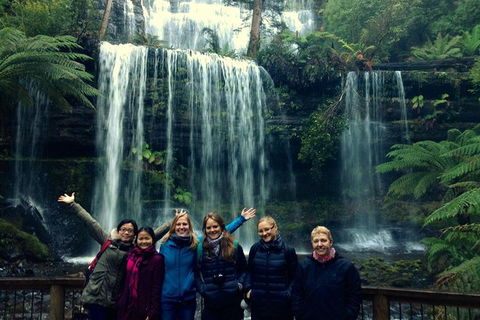 Mt Field National Park Active Day-Trip Including Bonorong And Mt Wellington - Accommodation NT 1