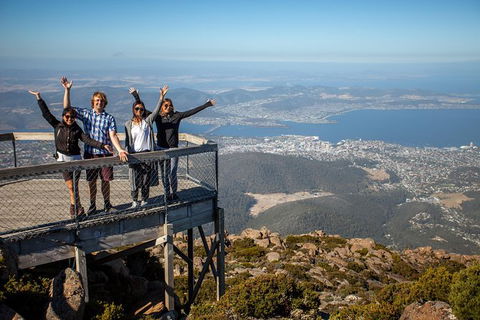 Mt Field National Park Active Day-Trip Including Bonorong And Mt Wellington - Accommodation NT 0