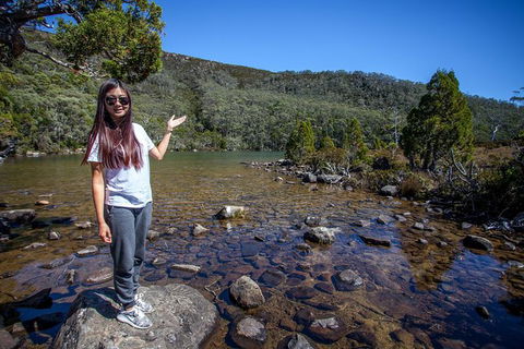 Mt Field National Park Active Day-Trip Including Bonorong And Mt Wellington - Accommodation NT 12