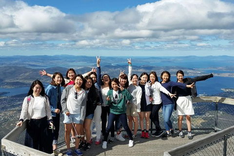 Mt Field National Park Active Day-Trip Including Bonorong And Mt Wellington - Accommodation NT 3