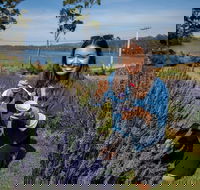 Port Arthur and Lavender Farm Active Day Tour - Accommodation NT
