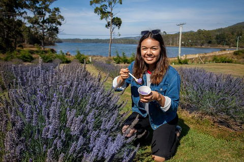 Port Arthur And Lavender Farm Active Day Tour - Accommodation NT 0