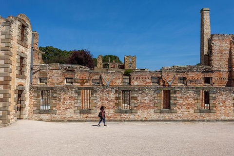 Port Arthur And Lavender Farm Active Day Tour - Accommodation NT 1