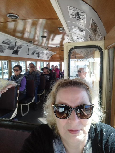 Hobart Half-Day Sightseeing Coach Tram Tour - Accommodation NT 2