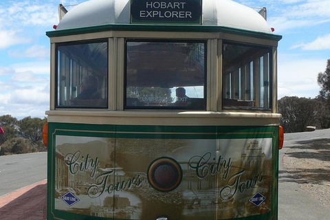 Hobart Half-Day Sightseeing Coach Tram Tour - Accommodation NT 16