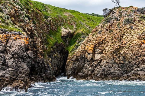 Hobart Sightseeing Cruise Including Iron Pot Lighthouse - Accommodation NT 1