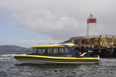 Hobart Sightseeing Cruise Including Iron Pot Lighthouse - Accommodation NT 7