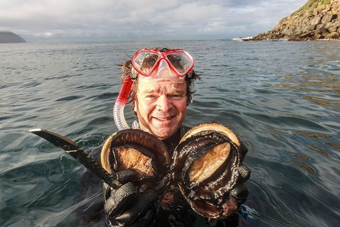 Fresh From The Ocean: Tasmanian Seafood Gourmet Full-Day Cruise Including Lunch - Accommodation NT 1