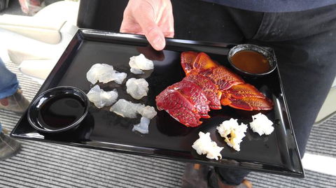 Fresh From The Ocean: Tasmanian Seafood Gourmet Full-Day Cruise Including Lunch - Accommodation NT 5