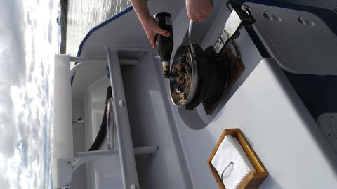 Fresh From The Ocean: Tasmanian Seafood Gourmet Full-Day Cruise Including Lunch - Accommodation NT 9