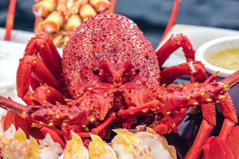 Fresh From The Ocean: Tasmanian Seafood Gourmet Full-Day Cruise Including Lunch - Accommodation NT 15