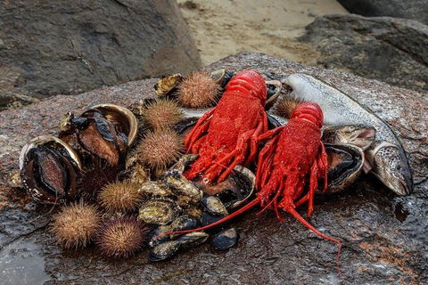 Fresh From The Ocean: Tasmanian Seafood Gourmet Full-Day Cruise Including Lunch - Accommodation NT 16