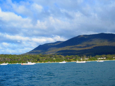 Full-Day Tasman Peninsula Tour From Hobart - Accommodation NT 7