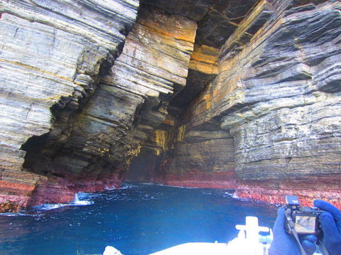 Full-Day Tasman Peninsula Tour From Hobart - Accommodation NT 8