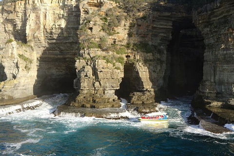 Full-Day Tasman Peninsula Tour From Hobart - Accommodation NT 18