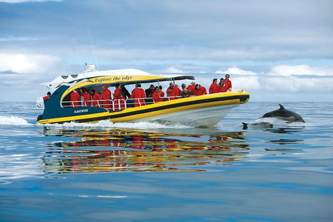 Full-Day Tasman Peninsula Tour From Hobart - Accommodation NT 17