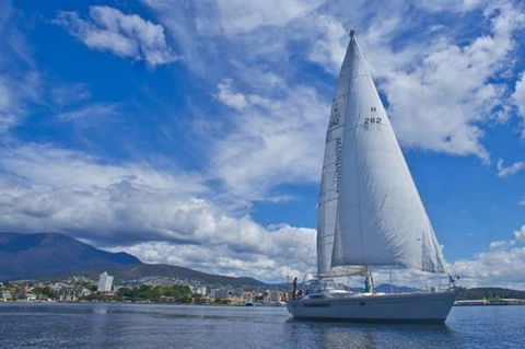 Half-Day Sailing On The Derwent River From Hobart - Accommodation NT 0