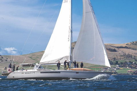 Half-Day Sailing On The Derwent River From Hobart - Accommodation NT 5