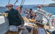 Half-Day Sailing On The Derwent River From Hobart - thumb 10