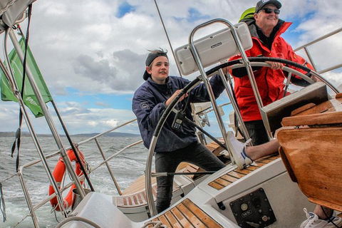 Half-Day Sailing On The Derwent River From Hobart - Accommodation NT 4