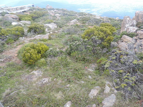 Mt Wellington Tour And MONA Admission - Accommodation NT 8
