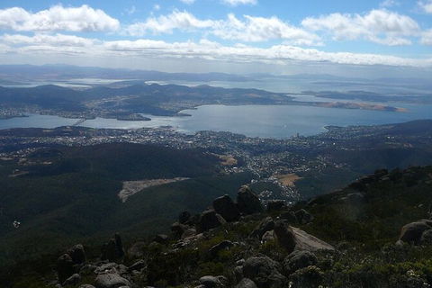 Mt Wellington Tour And MONA Admission - Accommodation NT 15