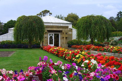 Hobart City Sightseeing Tour Including MONA Admission - Accommodation NT 9