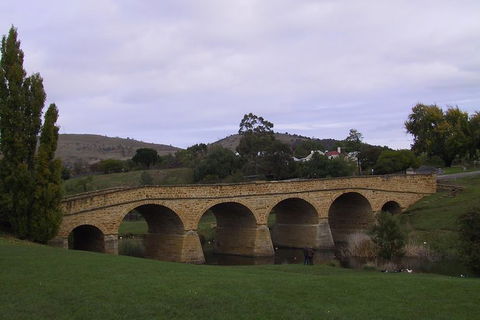 Hobart Shore Excursion: Half Day Bonorong Wildlife Park With Richmond Tour - Accommodation NT 1