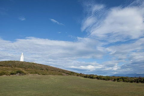 Bruny Island Premium Private Photo-oriented Day Tour From Hobart - Accommodation NT 1