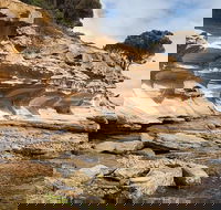Maria Island premium private photo-oriented day tour from Hobart - Accommodation NT