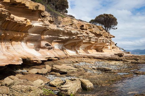 Maria Island Premium Private Photo-oriented Day Tour From Hobart - Accommodation NT 2