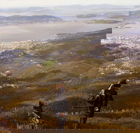 Mt Wellington Half Day Guided Summit Hike - Accommodation NT