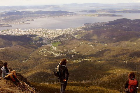 Mt Wellington Half Day Guided Summit Hike - Accommodation NT 0