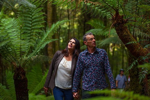 West Coast Wilderness Railway: River And Rainforest From Strahan - Accommodation NT 3