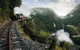 West Coast Wilderness Railway: River And Rainforest From Strahan - thumb 4