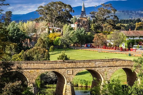 Shore Excursion-Hobart Wanderer - Accommodation NT 0